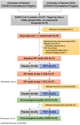 Photodynamic nasal SARS-CoV-2 decolonization shortens infectivity and influences specific T-Cell responses